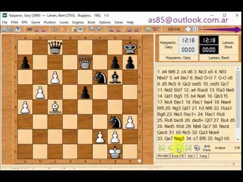 Garry kasparov and larsen bent 1982 bugojno 1 0 481