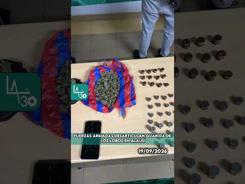 Fuerzas Armadas desarticulan guarida de Los Lobos en Alausí