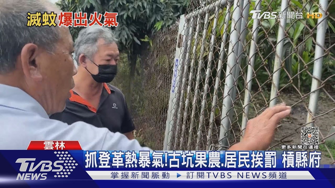 抓登革熱暴氣!古坑果農、居民挨罰 槓縣府