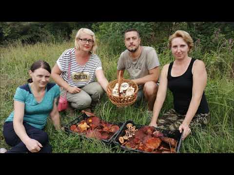 Грибы август 2019. Весёлый поход за грибами!