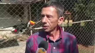 Miniatura do vídeo