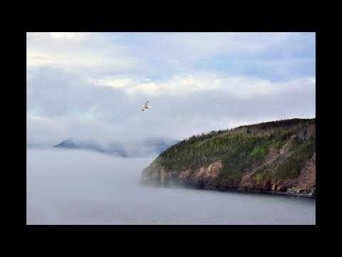Terre-Neuve, performed by Elektra Women's Choir