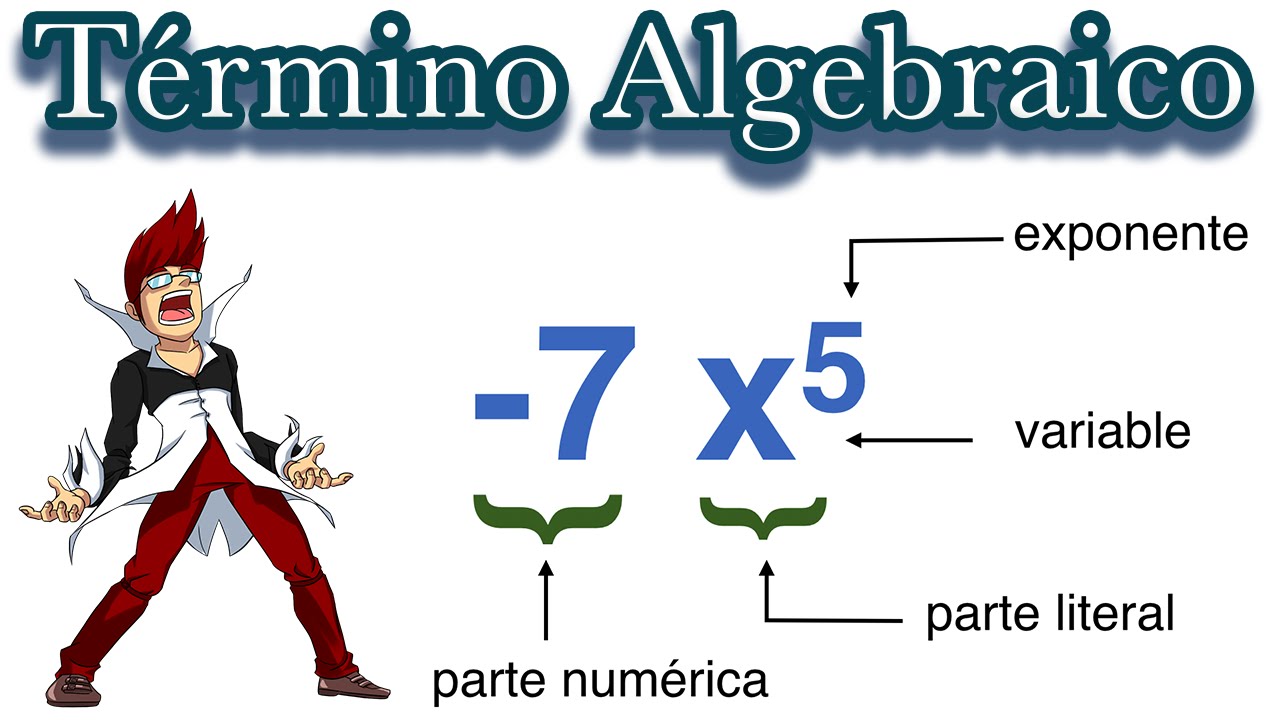 Elementos de un Término Algebraico | Clasificación