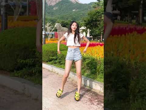 아이콘