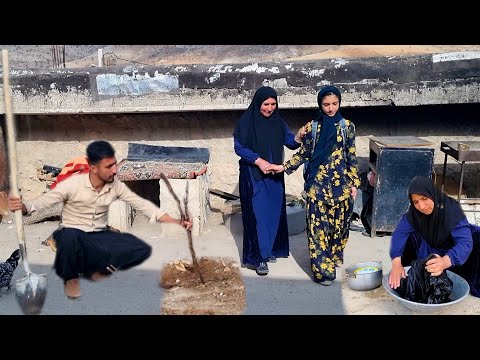 Hanieh's emotional return to Shakeel after a long time