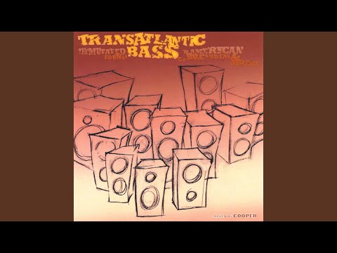 Double Identity - The Architect