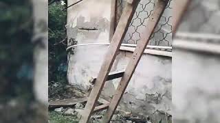 Хотим найти приключения в заброшке