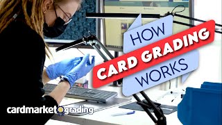 Card Grading Behind the Scenes