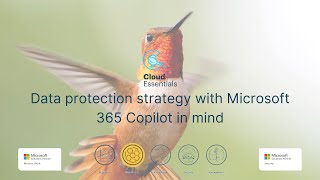 Data protection strategy with Microsoft 365 Copilot in mind