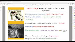 Download Lagu Parturition, Part-2 by Dr. Alok Kumar, Dept. of Vet Genecology u0026 Obstetrics, BVC Thumbnail