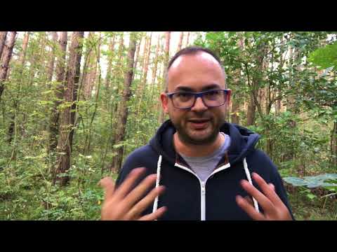 Event sourcing? Why would I need that for the whole app?