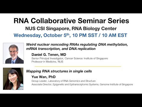 RNA Collaborative - NUS-CSI Singapore RNA Biology Center, October 5, 2022