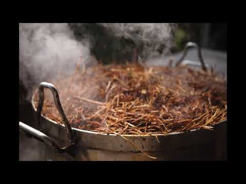 Mestre Irineu 29 -  Sol Lua Estrela