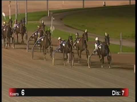 Vierjarige Hensten& ruins + Merries Herfst Stakes  2012  Victoria Park