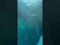 Penguin World