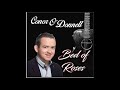 Conor O Donnell Bed of Roses