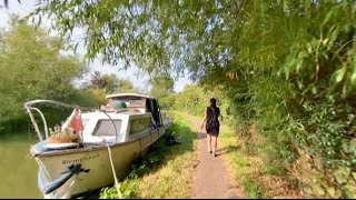 Herb Alpert   I Get It From You