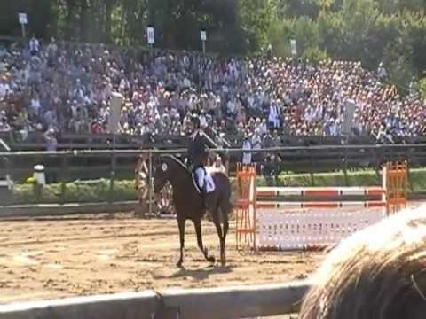 Casdorff Hengstparade Moritzburg 2012