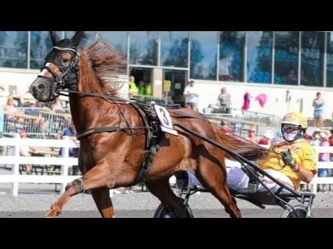 Finale Gran premio Lotteria #gr1IL DESTINO DICE VERNISSAGE GRIFil figlio di VARENNE Trionfa in 1.10.