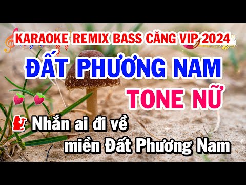 Karaoke Nhạc Sống Đất Phương Nam - Remix DJ Căng Nhất 2024 (Tone Nữ)