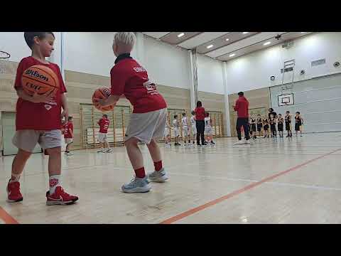 And1 Mu10 Fun Vilpas - Wb-Pantterit