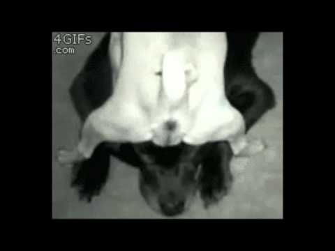 Somebody That I Used To Know - Gotye ft Kimbra (Juanjo Marti