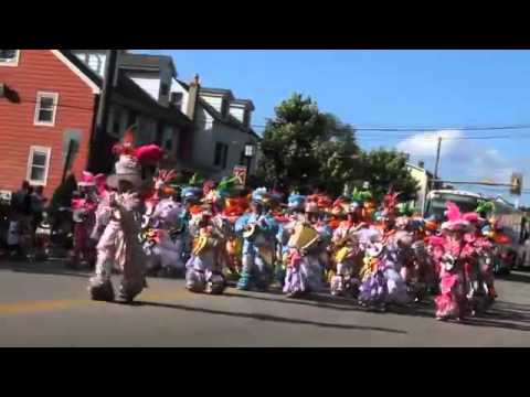 Polish American String Band - 2013 July 4th Parade
