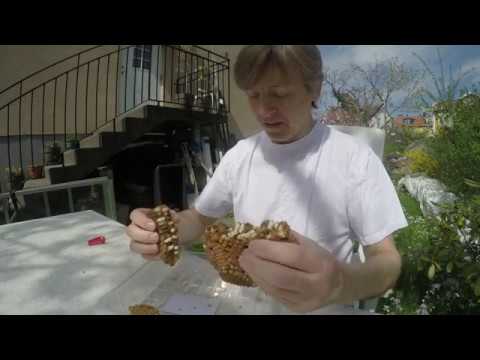 Mäta varroa angreppsnivå i Kungsladugårda bigård