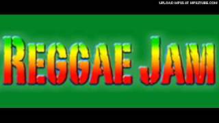 tanto metro + devonte,sean paul,buju banton- reggae jam
