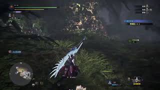 モンハンワールド　アイスボーンやっていく！