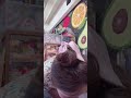 Bigo Live Periscope 483 Periscope Live Girlthailand Cutegirl สาวน่ารัก