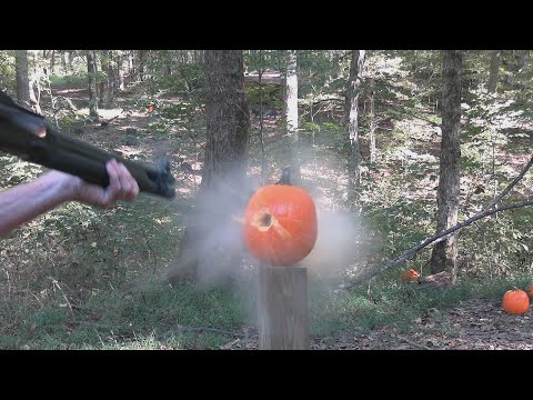 Pumpkin Killing Methods 2024
