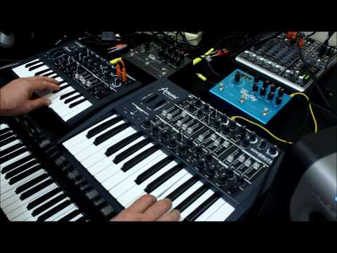 Magnetic Fields 4 Melody Played on Arturia MiniBrute and MicroBrute Synthesizers