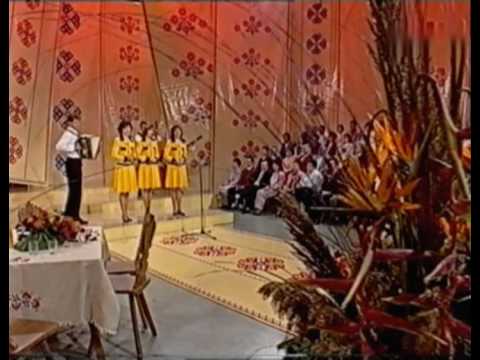 Druzinski ansambel Bavant??? - ???