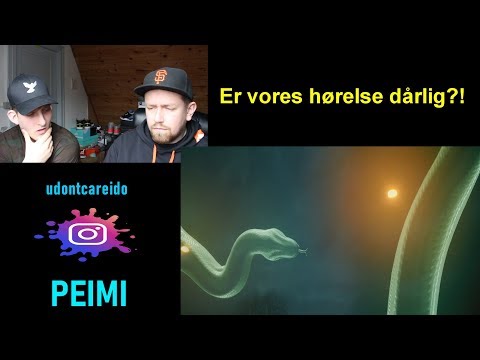 Pay - G Ting (REAKTION)