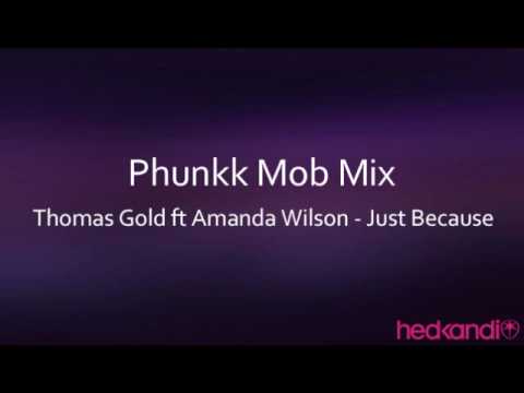 Thomas Gold ft Amanda Wilson - Just Because  (Phunkk Mob Mix)