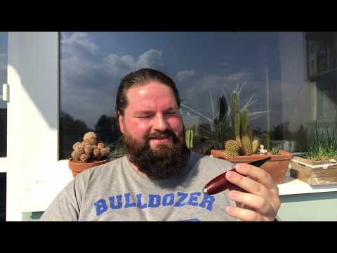 Introduction and first test of the Vauen Zeppelin (vs. Morgan Pipes The Briar Cigar)...