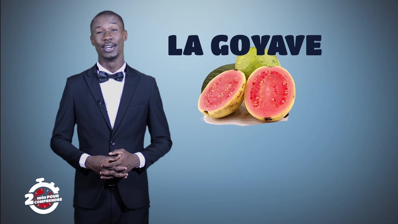 2mn pour comprendre LA GOYAVE avec Polus Agathon