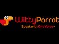 WittyParrot Introduction