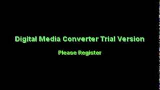 The Orchids - Striving for the lazy perfection