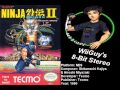 OLD MIX Ninja Gaiden 2 The Dark Sword Of Chaos NES Soundtrack 8BitStereo