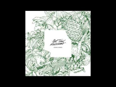 Part Time Musicians - Would You Mind ?