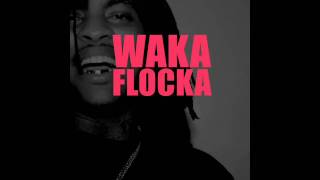 Waka Flocka Flame - Ballin Out [Directed by Court Dunn]