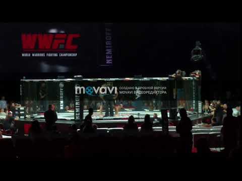 Новый проект 81