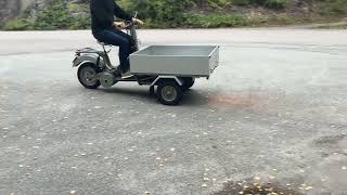 Moto de carga Norsj&ouml; CARRIER | Imagem 4 - Autoline
