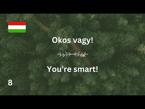 #2 Hungarian While You Sleep | Most Important Hungarian Phrases and Words | English and Hungarian