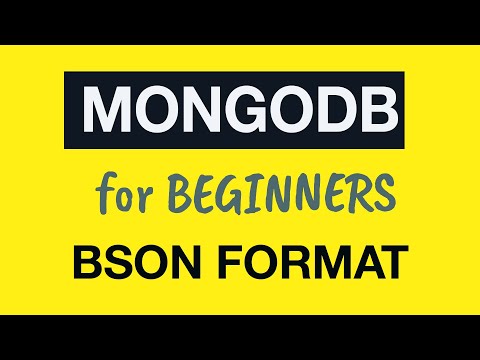 MongoDB Tutorial for Absolute Beginners 12 How Documents are stored in the Database BSON Format