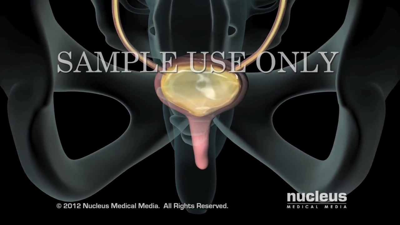 Luis Fernando Echeverry Molina-16