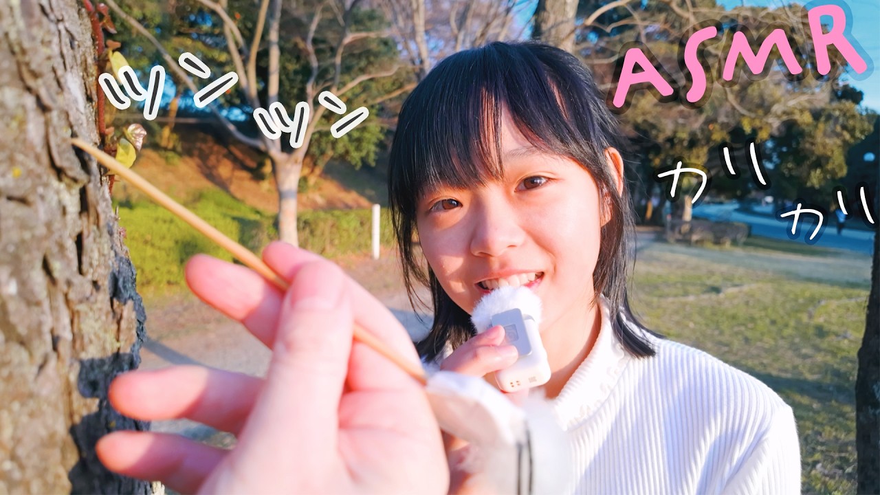 ASMR リズムオノマトペで耳かき (お散歩)