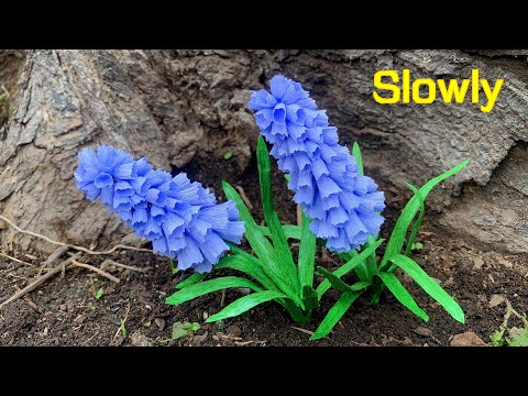ABC TV | How To Make Easy Muscari From Crepe Paper (Slowly) - Craft Tutorial
